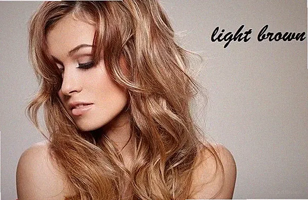Henna Hair Dye Light Brown ORGANIC Hair Color Powder Conditioner Chemical Free